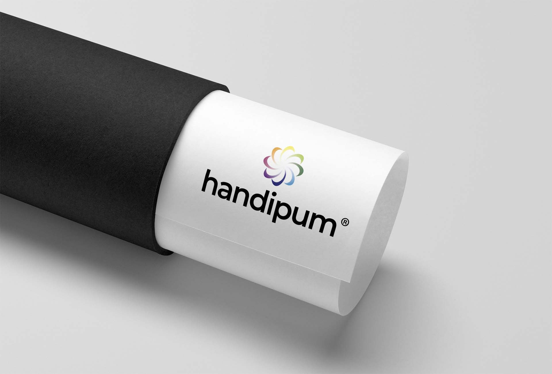 handipum ®